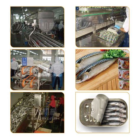 Leadworld Automatic Canned Sardine Tuna Bass Fish Production Line Fish