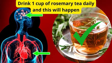 Must Know Reasons To Drink Rosemary Tea Daily An Impressive Healing