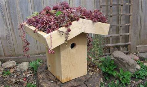53 Diy Birdhouse Plans That Will Attract Them To Your Garden
