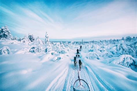 Magical Photos Capture The True Beauty Of Finnish Winter | FREEYORK