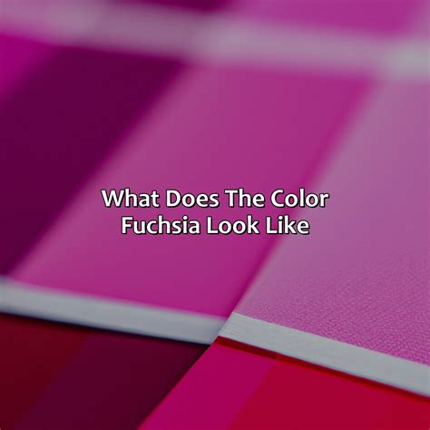 What Does The Color Fuchsia Look Like