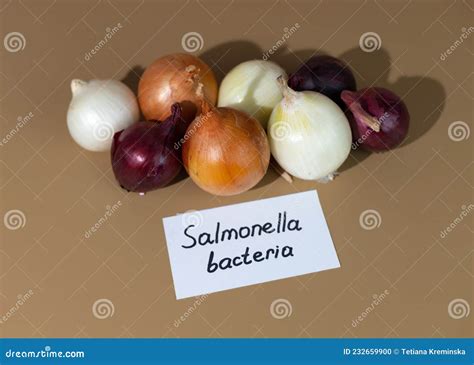 Salmonella Bacteria Animation Typhi Typhimurium And More Causes Of