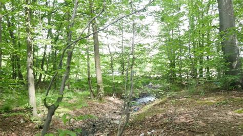 Basura En Hierba Contaminación De La Naturaleza Desastre Natural