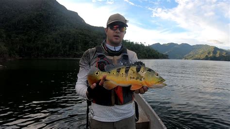 Pesca Tucunare Represa Topocoro Hidrosogamoso Betulia Santander