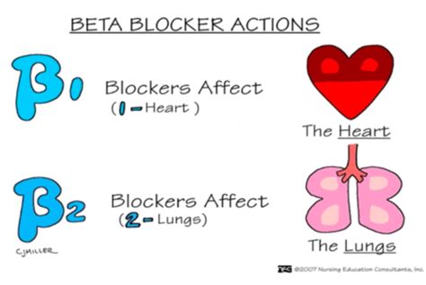 Nurs341b Exam 3 Flashcards Quizlet