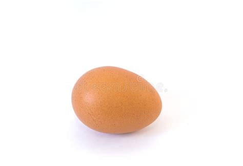 Single Brown Chicken Egg Isolated On White Stock Photo Image Of