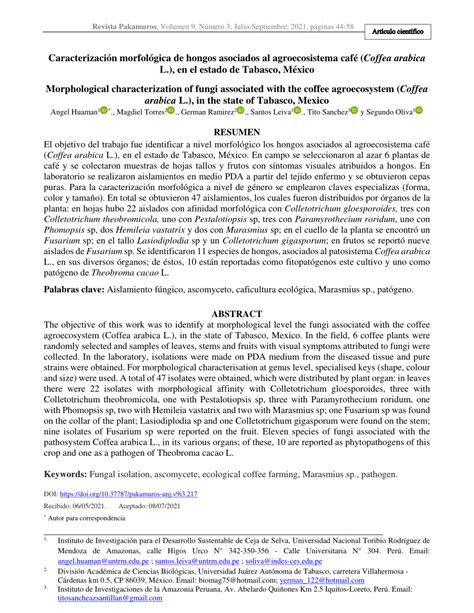 PDF Caracterización morfológica de hongos asociados al agroecosistema