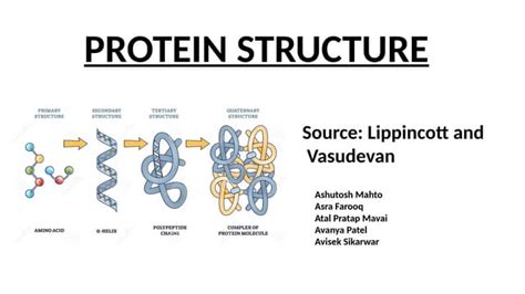 protein structurepptxjfzkgkxhofuzufsyid