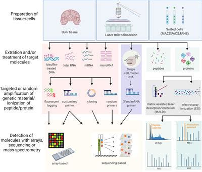 Frontiers A Systematic Review Of Tissue And Single Cell Transcriptome