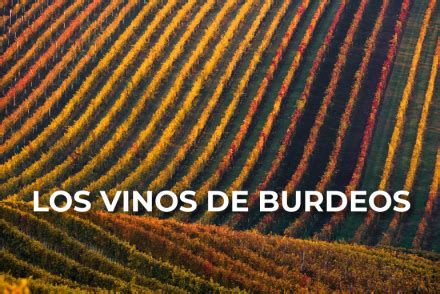 Todo Lo Que Debes Saber Sobre El Vino De Burdeos