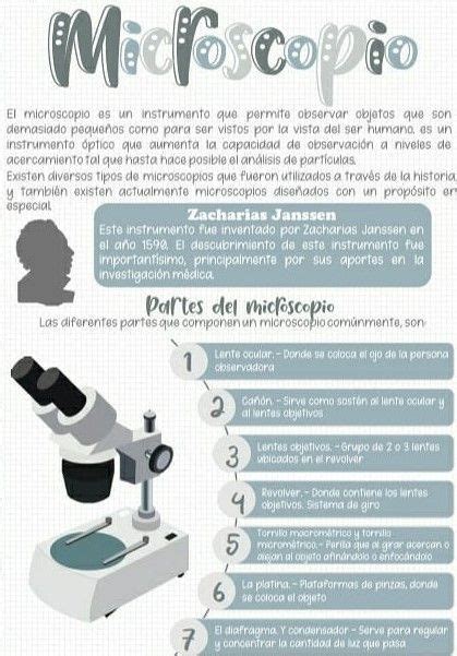 Actividad De Partes Del Microscopio Artofit