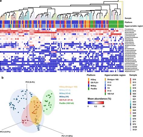 Bacterial V3 V4 16S RRNA Amplicon Sequencing Data Analysis