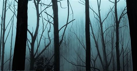 The 100 Best Horror Books Of All Time