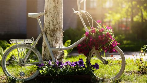 Ghost Bike Una Bicicletta Bianca Per Sensibilizzare E Ricordare