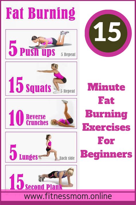 Easy Fat Burning Exercises For Beginners – Online degrees