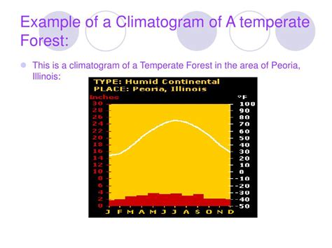 Ppt The Temperate Forest Biome Powerpoint Presentation Free Download