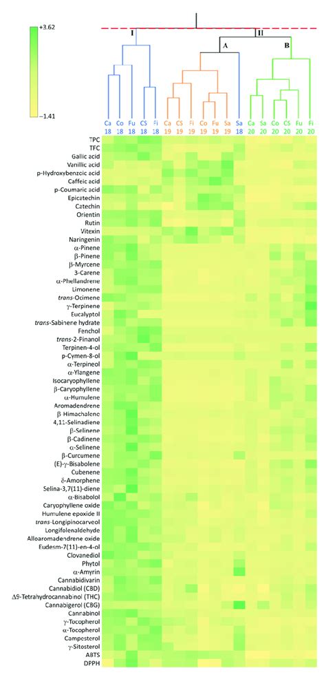 Hierarchical Cluster Analysis Hca Dendrogram Ward S Method And