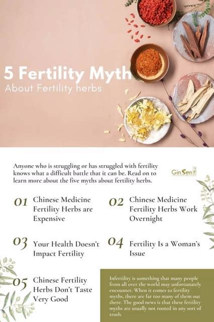 Top 5 Fertility Myths About Fertility Herbs Pdf