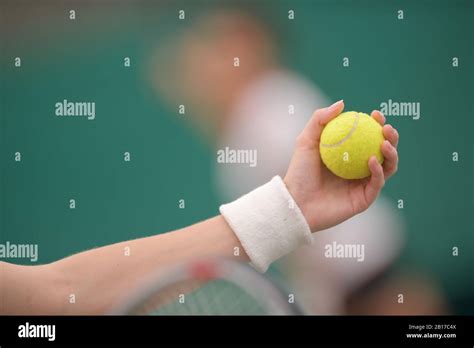 Hand Holding Tennis Ball Stock Photo Alamy