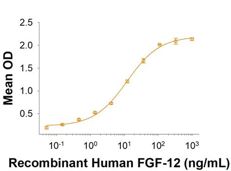 Recombinant Human FGF 12 Protein 2246 FG 025 R D Systems