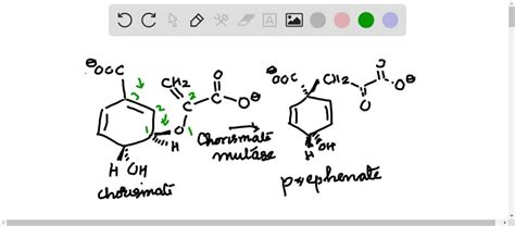 Solvedin Nature The Enzyme Chorismate Mutase Catalyzes A Claisen