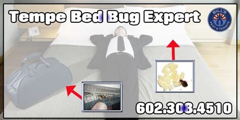 Best Bed Bug Control Tempe Az Bed Bug Exterminators Tempe