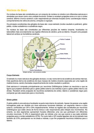 Barreira hematoencefálica Definição estrutura função Descubra o