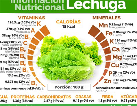 Todo Lo Que Necesitas Saber Sobre La Planta De Lechuga Cultivo