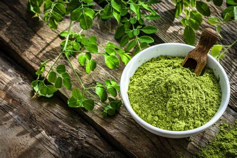 How To Make Moringa Powder A Simple Guide Zija International