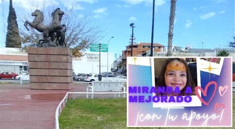 Invitan A Bazar En Beneficio A Miranda Necesita Una Operaci N