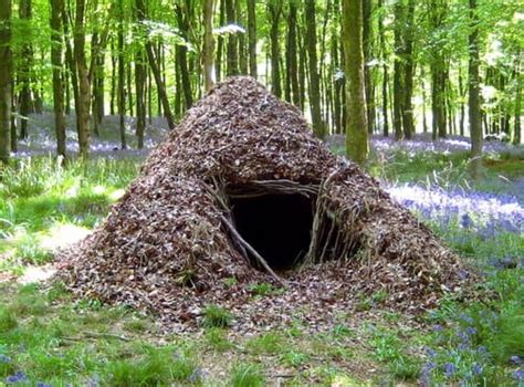 10 Ways To Build A Shelter In The Wild In Any Environment Survival