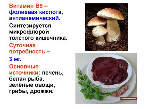 Витамины и их значение - презентация онлайн