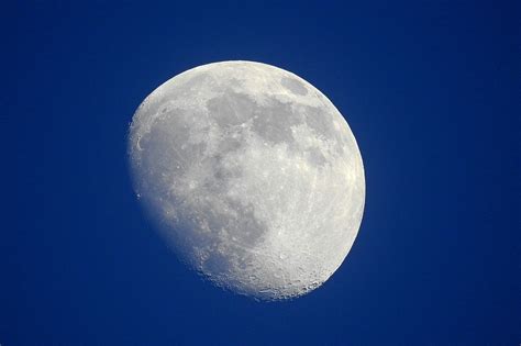 Luna Noche Cielo Nocturno Luz De Foto Gratis En Pixabay Pixabay