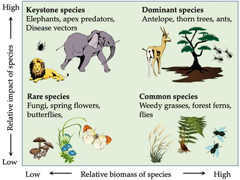 Why Should We Protect Biodiversity