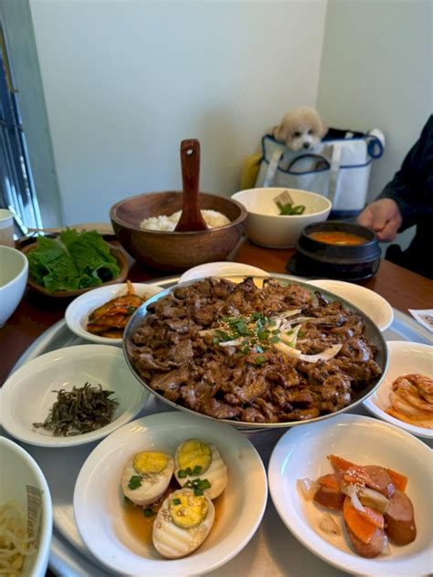 반려생활 애견동반 제주여행 제주 애견 동반 한식당 달팽이식당