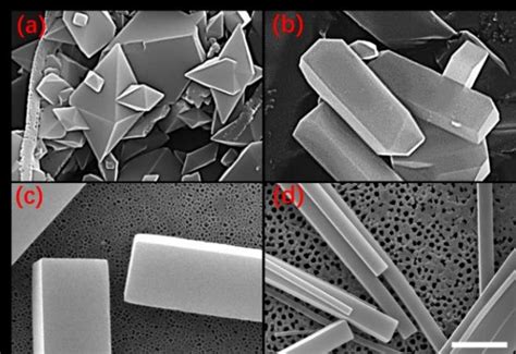 Sem Images Of Different Crystal Shapes Produced Using Various