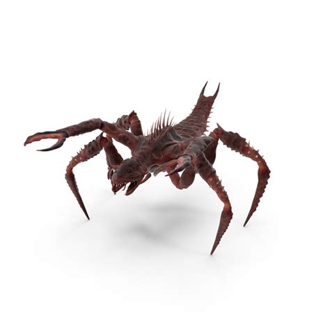 Spider Monster Png Images And Psds For Download Pixelsquid S11946636d