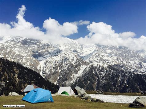 Triund Trek Mcleod Ganj Tripanchal