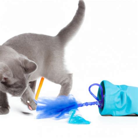 How To Successfully Litter Train Your Kitten A Step By Step Guide With