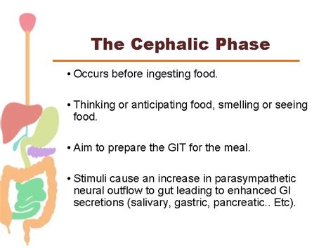 Esophageal Motility Pathophysiology Of Reflux Disease Maha Saja