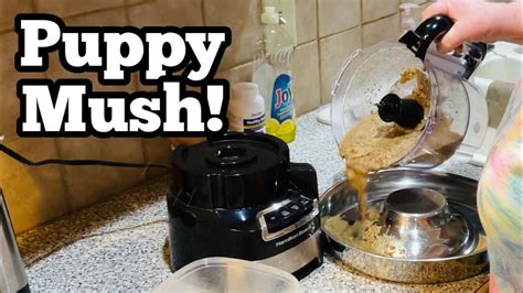 How To Wean Puppies How To Make Puppy Mush Youtube