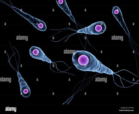 Tetani hi-res stock photography and images - Alamy
