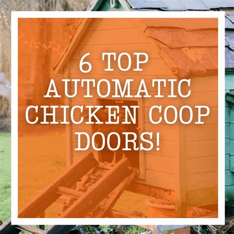 Best Automatic Chicken Coop Doors