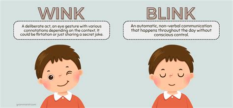 Wink Vs Blink Whats The Difference