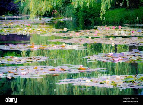 Les Jardins de Monet à Giverny Monet s Garden House and water lily