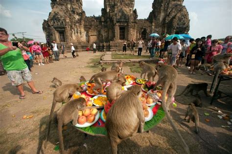 Monkey Party Festival - Thai Festival Guide to Thailand