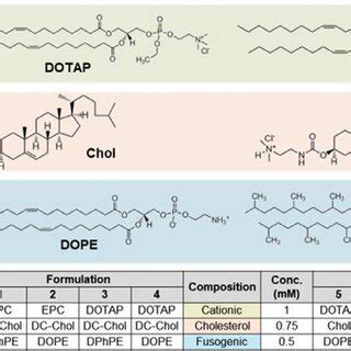 Transfection Efficiency Of The Various Lipid Nanoparticle