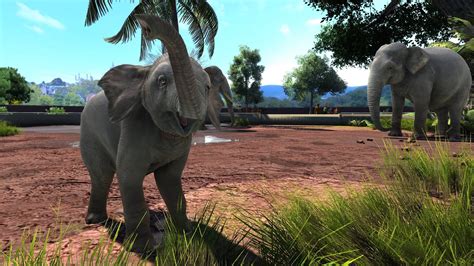 Zoo tycoon 3 xbox - masakitty