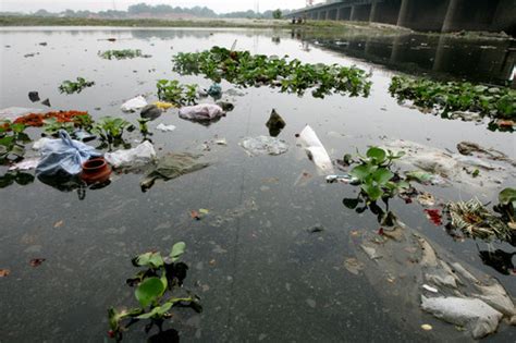 Bed Pollution Of Yamuna River