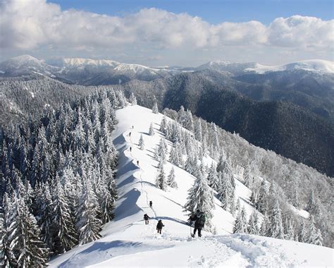 Tapety Na Plochu Pc Na Jaro I Zimu Trekingcz